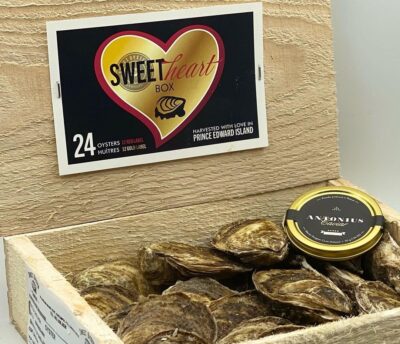 146544213_435491890983027_2691039986067095643_n